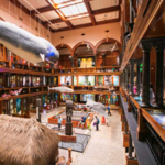 Bishop Museum