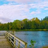 Big Foot Beach State Park