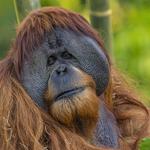 San Diego Zoo