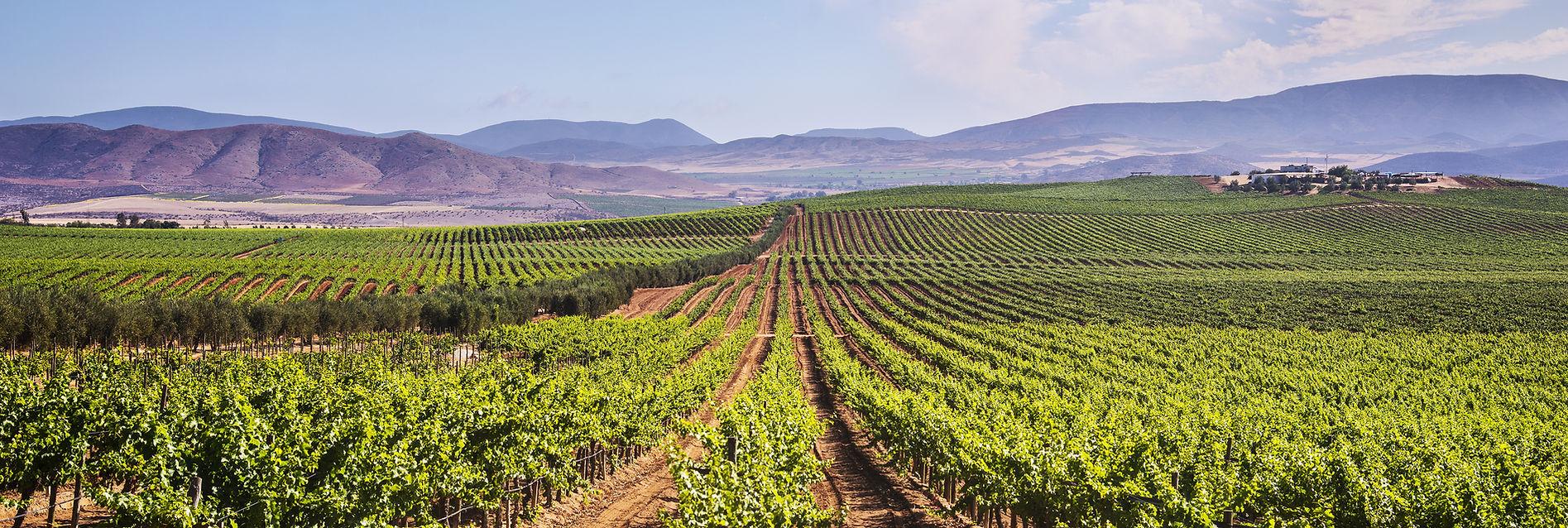 The Wedding Website of Raquel L Alva and Adrian Meneses