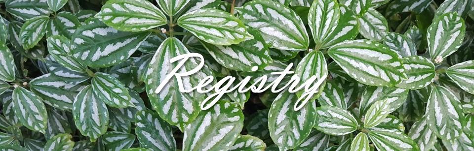 cdd822c5-9e50-4e67-a274-f508d8be9c2e