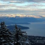 Hiking Trails