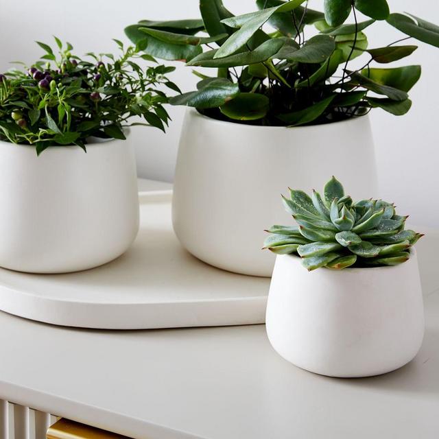 Dahlia Planter Set With Pill Tray, White, Earthenware, Set of 3