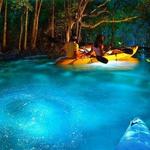 Bioluminescent Bay Night Kayak