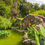 Japanese Tea Garden