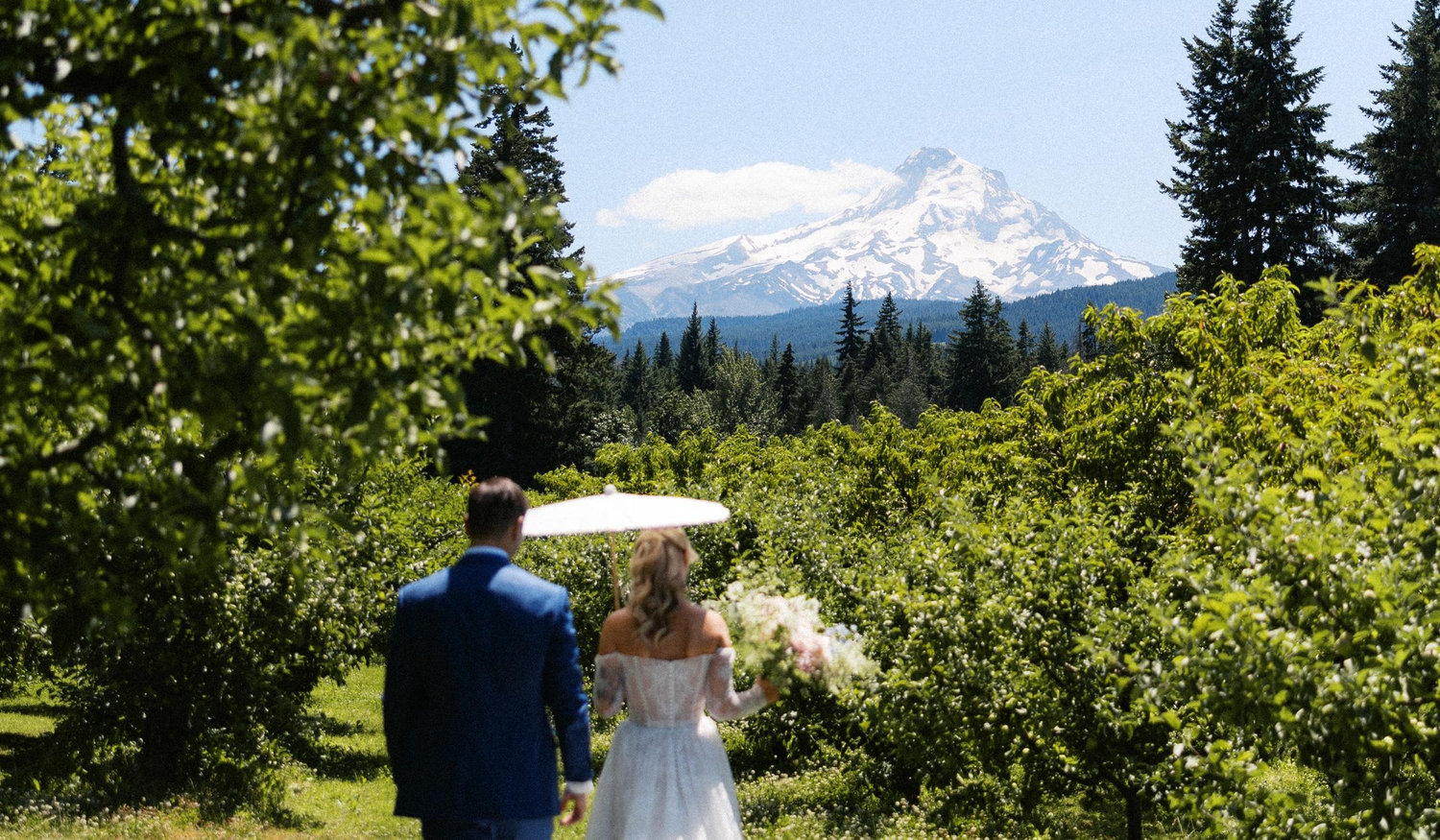 The Wedding Website of Stephanie Sherman and Andrew Agnesse