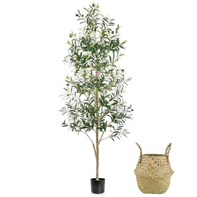 Caxchiling Faux Olive Tree 6FT, Artificial Potted Tree with Planter, Silk Plants Indoor Outdoor, Lifelike Olive Plants with Natural Wood Trunk, Fruits and Buds, Home Office Decor, 1 Pack