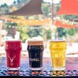 Craft Beer Breweries - Various Around Town