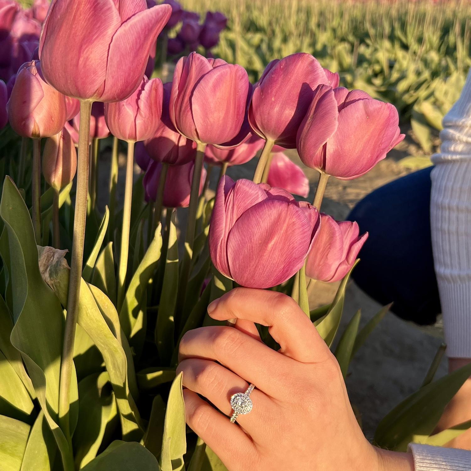The BEAUTIFUL ring!