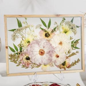 Flower Preservation: Pressed Flower Frame Wall Decor