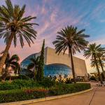 The Dali Museum