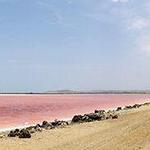 Pink Ocean and Mud Volcano