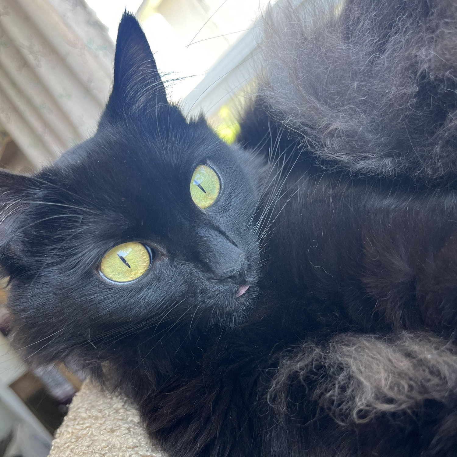 :p