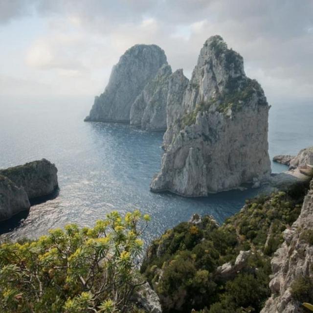 Dinner at Il Geranio in Capri