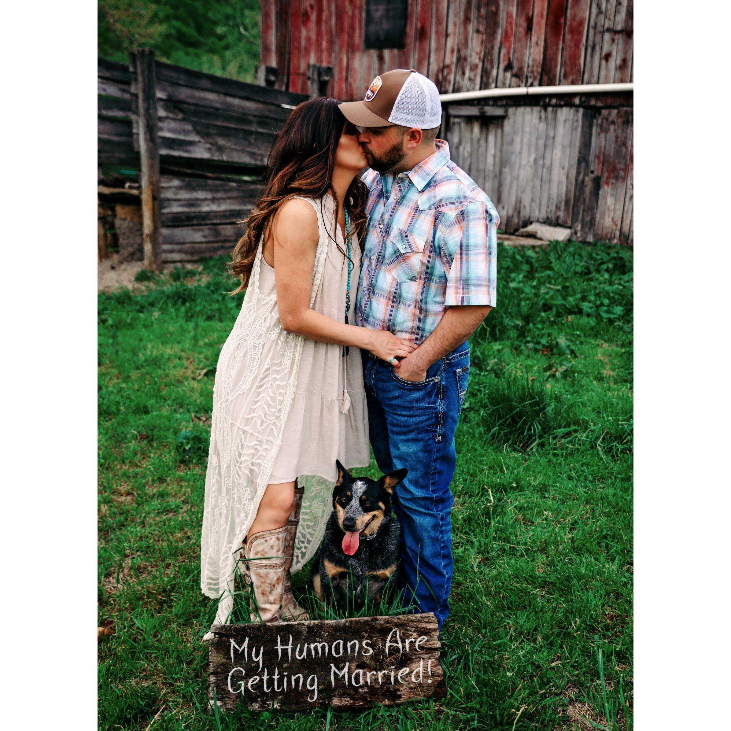 Engagement pictures!