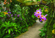 Marie Selby Botanical Gardens