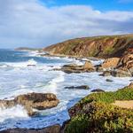 Bodega Bay