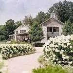 Pippin Hill Farm & Vineyards