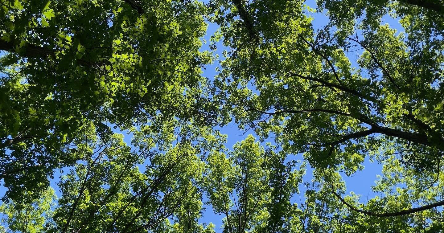 The Wedding Website of Taylor Nabb and Andrew Jacobs