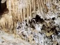 Black Chasm Cavern National Natural Landmark