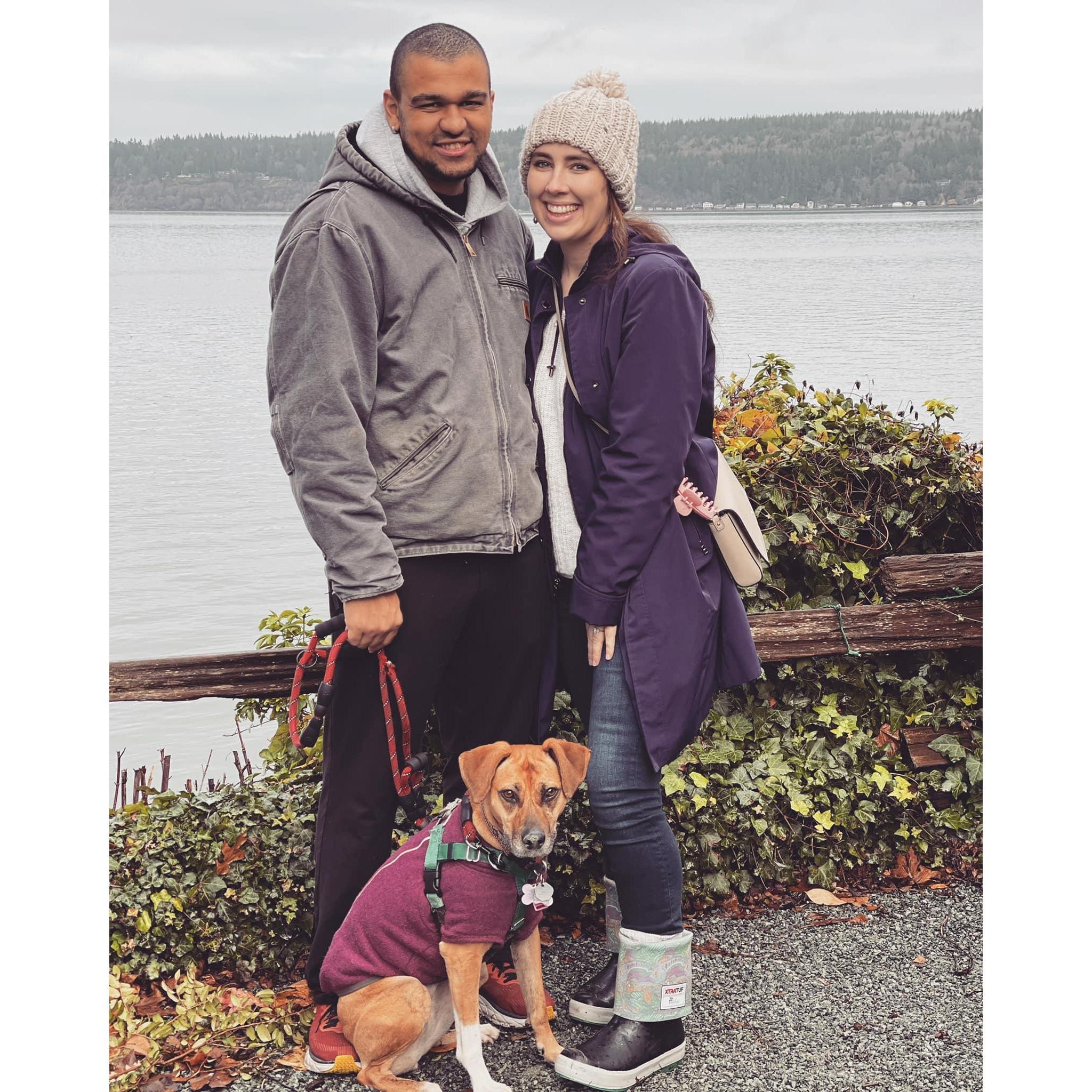 Whidbey Island, November 2021
