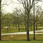 Grant Park