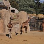 Santa Barbara Zoo