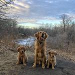 Buffalo River State Park