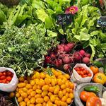 Flora Farms