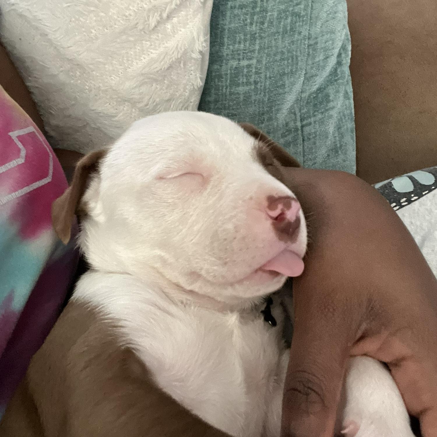 She had a loooinnggg day lol