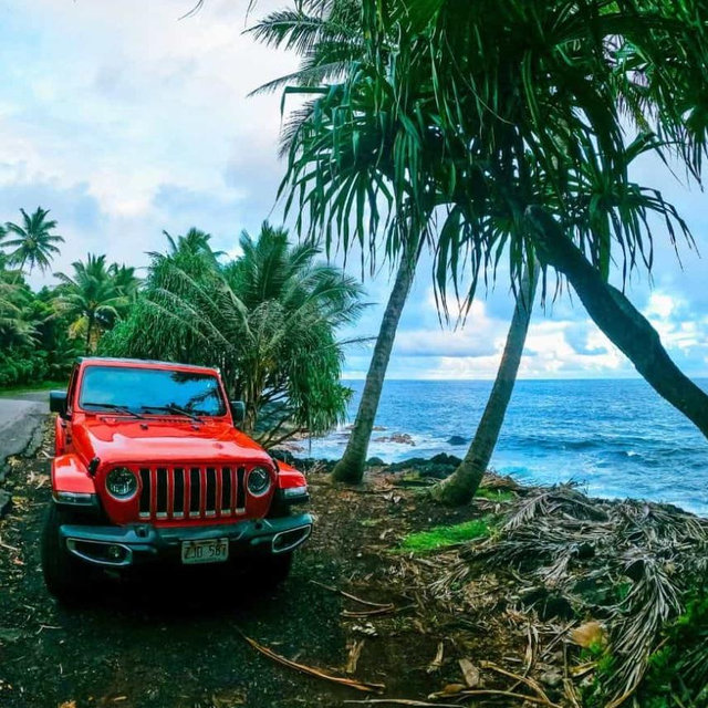 Honeymoon Rental Car