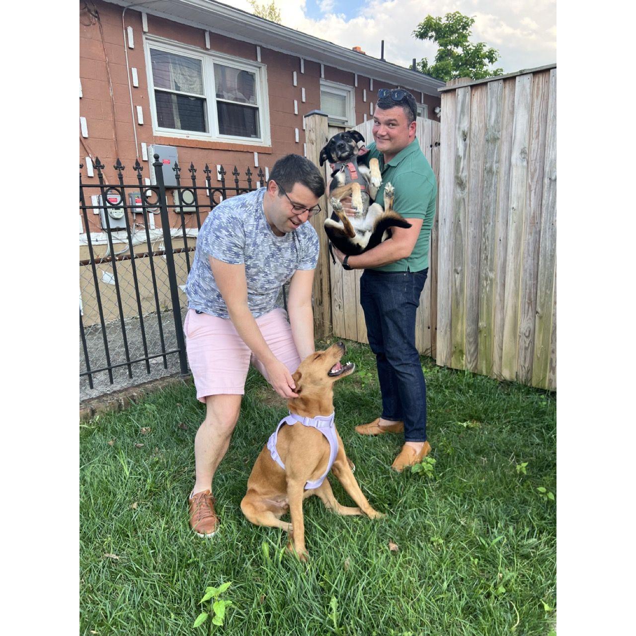 We adopted Bernadette and Athena became a sister!
