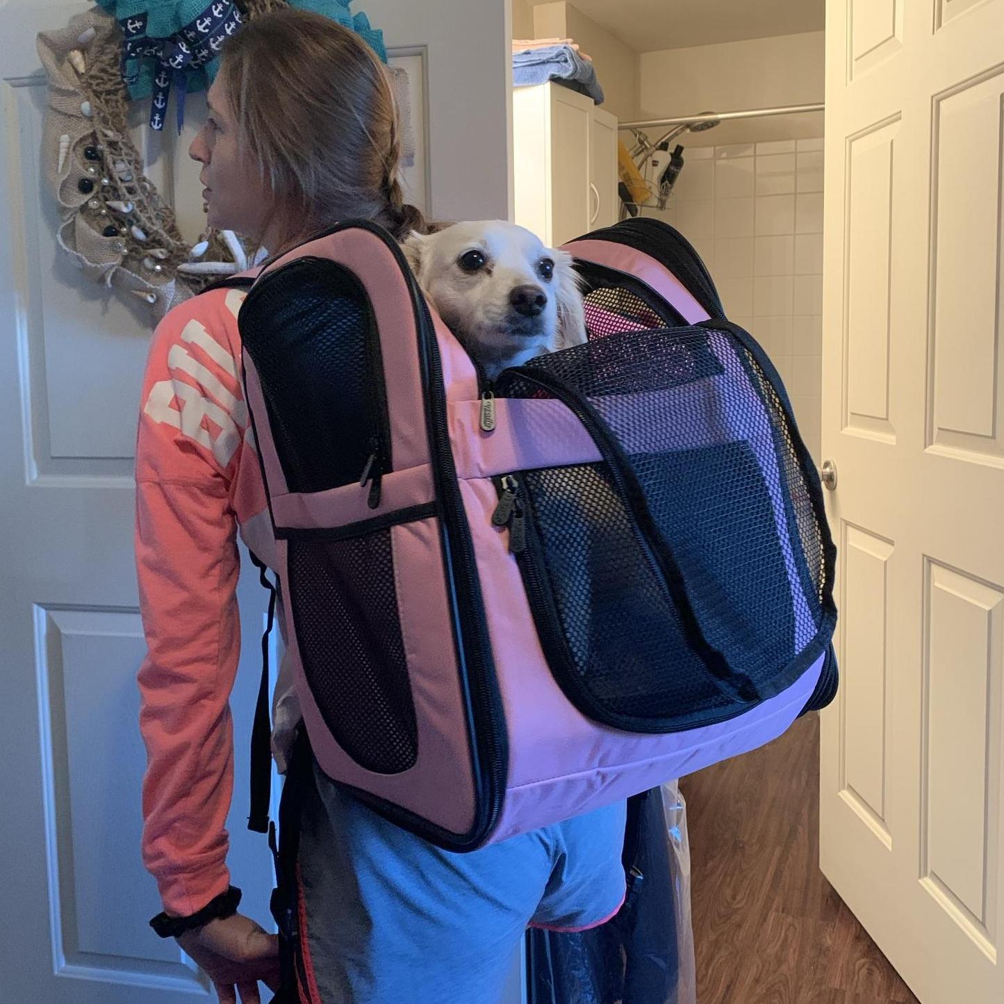 Moscato and Mommy getting ready for a great trip