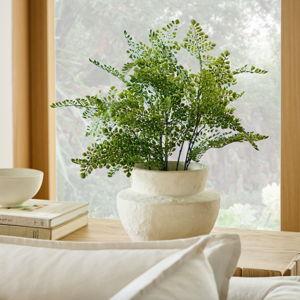 Faux Potted Maidenhair Fern Plant