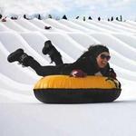 Winter Outdoor Activities