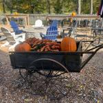 The Miamiville Trailyard