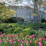 Cheekwood