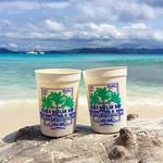 Jost Van Dyke (Soggy Dollar Bar, White Bay BVI)