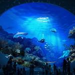 Seattle Aquarium