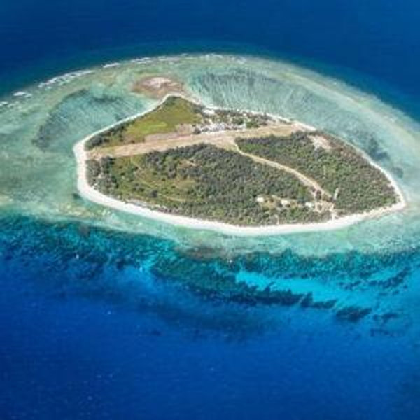 Lady Elliot Island Experience
