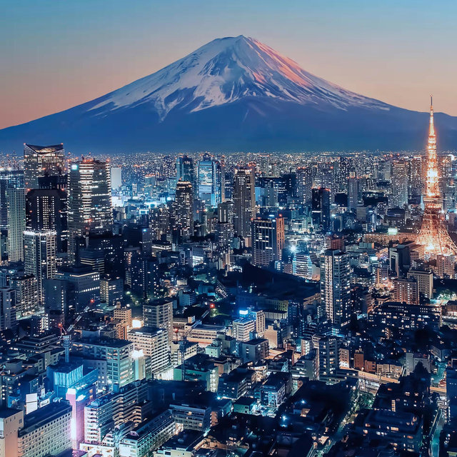 Our Japan Honeymoon Fund