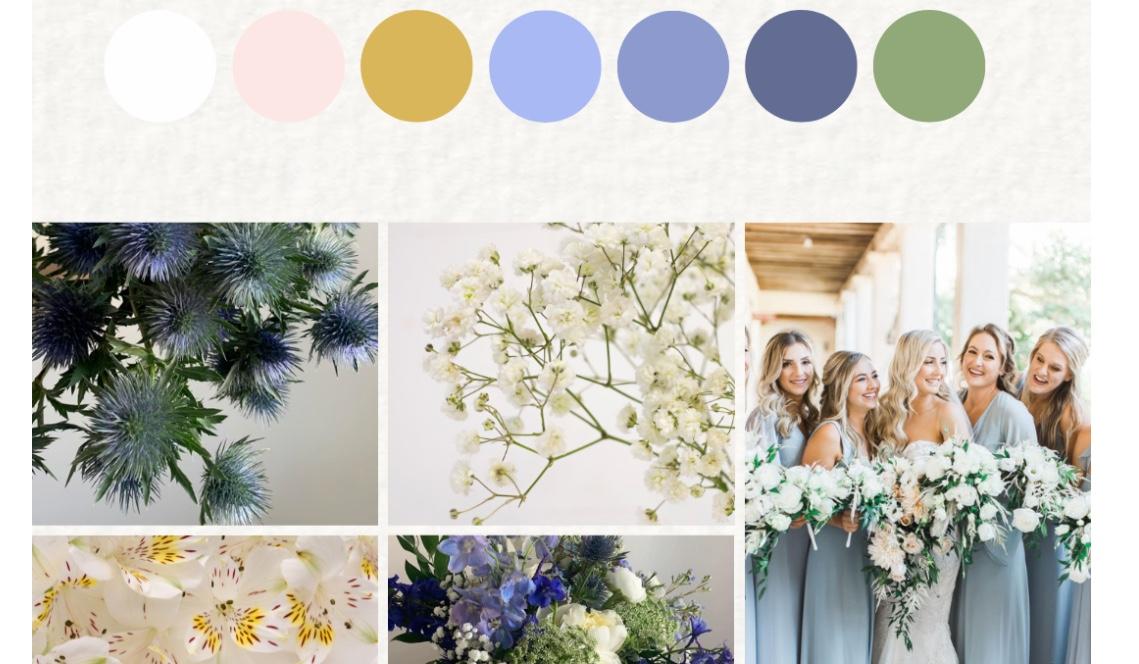 The Wedding Website of Colin Skoog and Ariana Lloyd