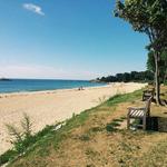Singing Beach