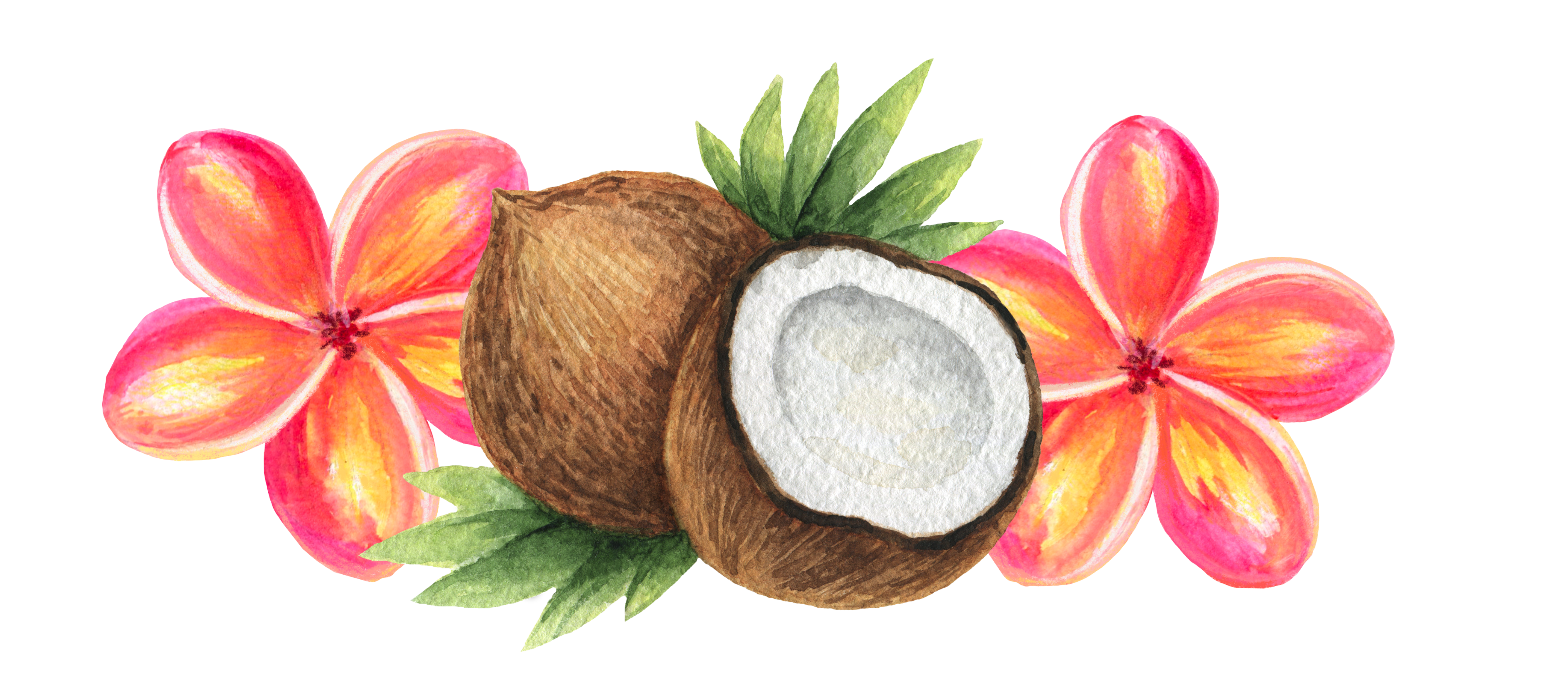 The Wedding Website of Shenaye Campbell and Ratu Vuibau