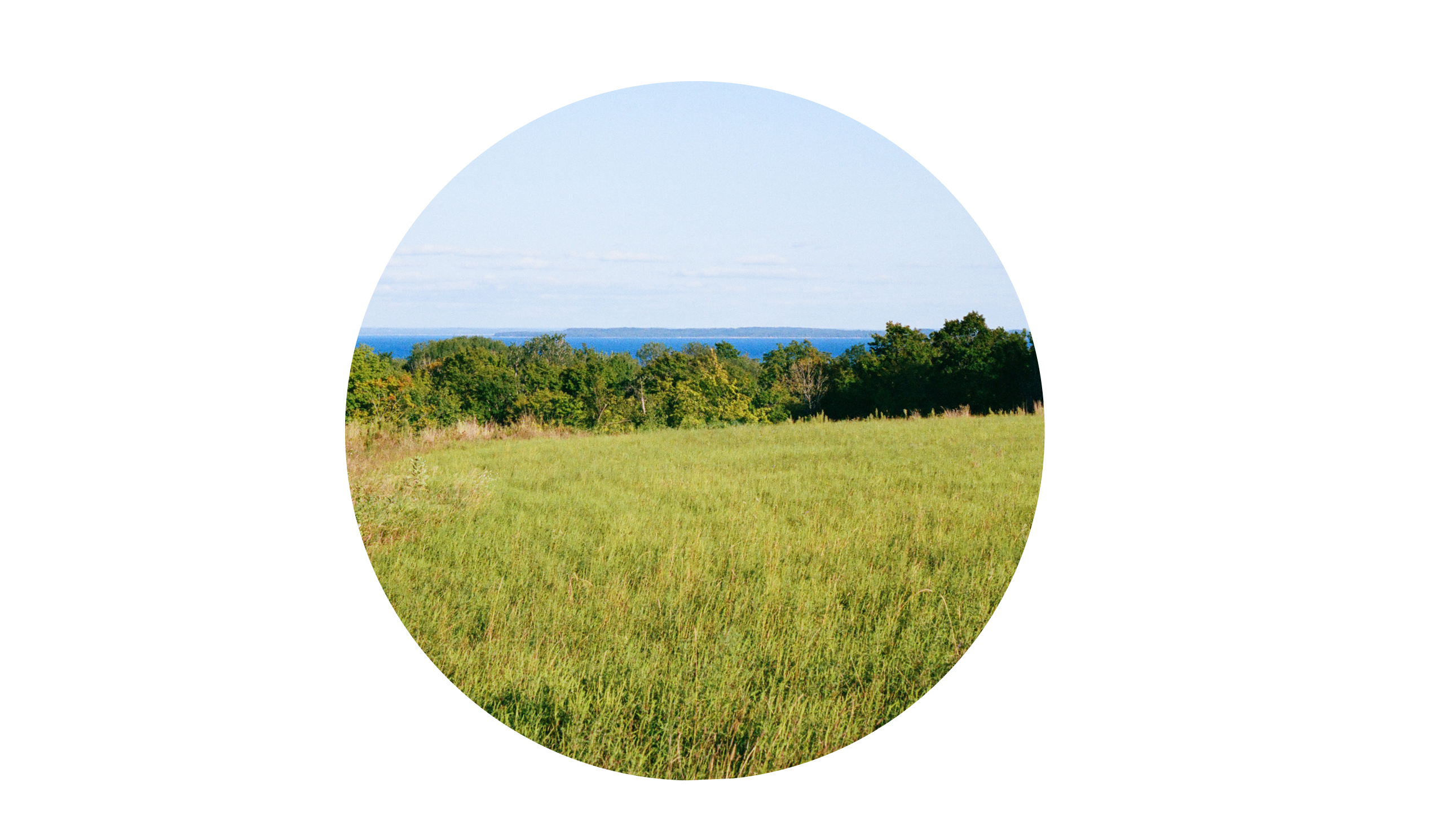 Footer image