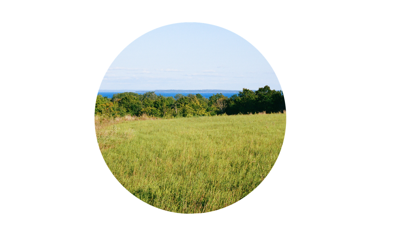 Footer image