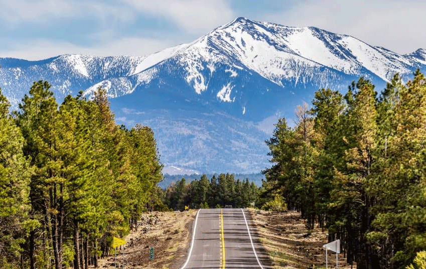 The Wedding Website of Velia Rincon and Tyler Knight