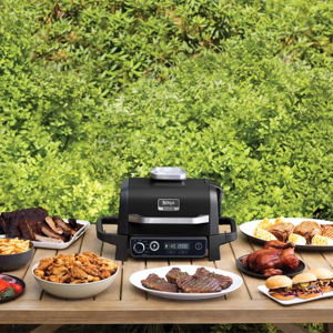 Ninja Woodfire Outdoor Grill and Smoker Stand Bundle