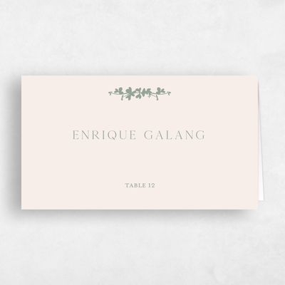 Sage, Green Wedding Place Card - Matienzo
