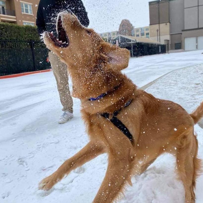 Our first snow day